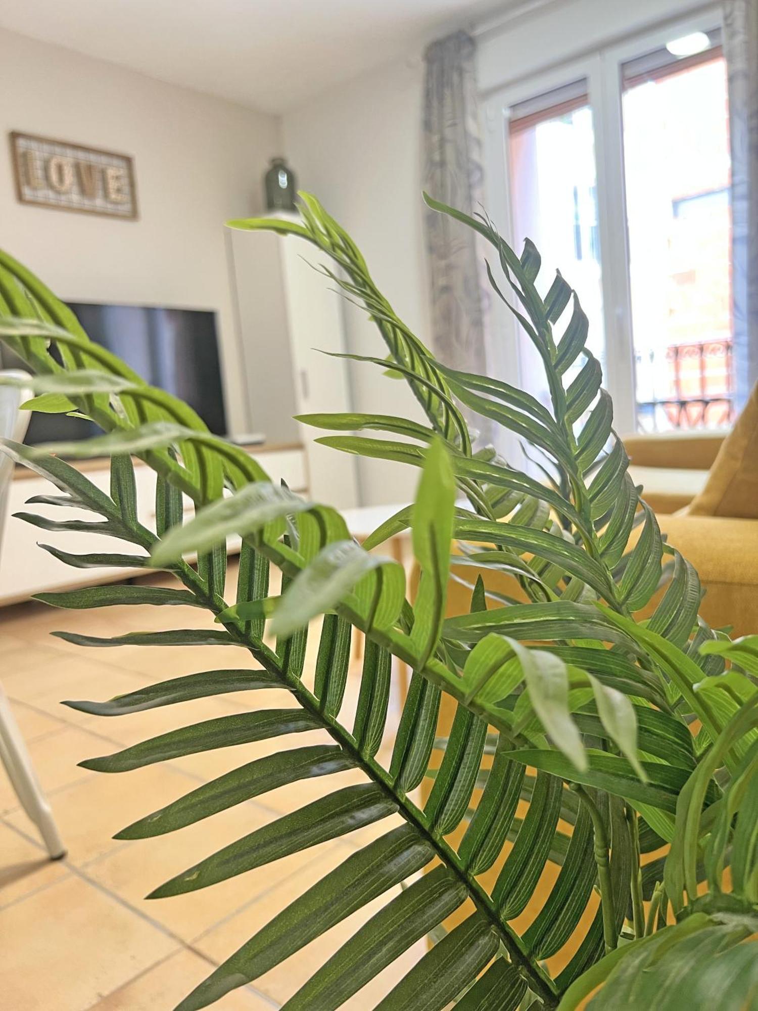 Puro Centro. 500M Del Mar. A/C Apartment Alicante Ngoại thất bức ảnh